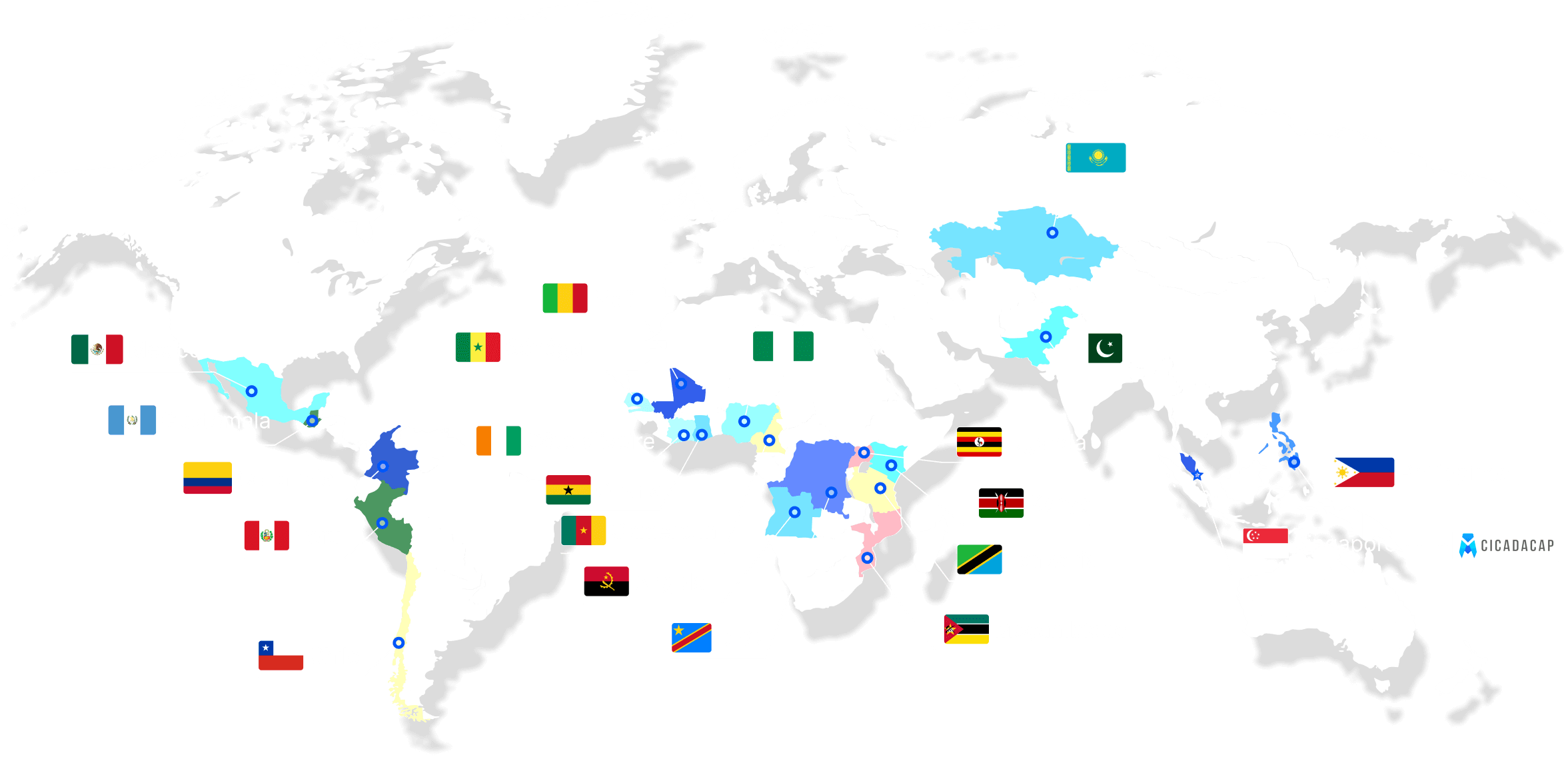 Global Network Map